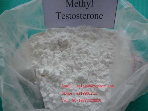 17-Alpha-Methyl Testosterone Sh-Ts011
